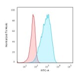 Flow Cytometry - Anti-HLA DP Antibody [HLA-DPB1/2862R] (A248841) - Antibodies.com