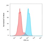 Flow Cytometry - Anti-FOXA1 Antibody [FOXA1/1518] (A248865) - Antibodies.com