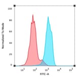Flow Cytometry - Anti-FOXA1 Antibody [FOXA1/1519] (A248866) - Antibodies.com