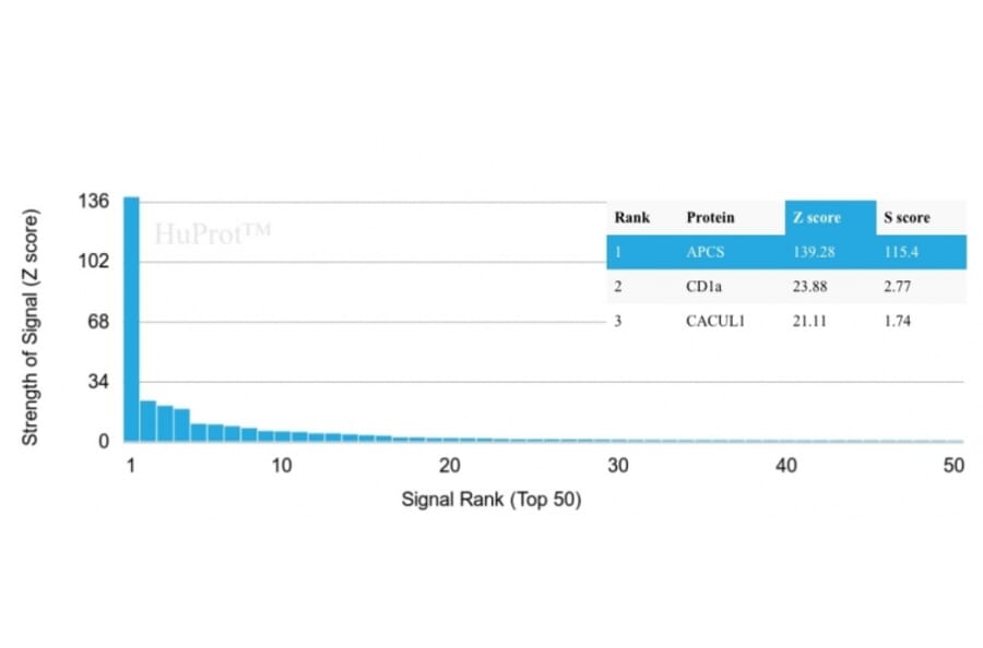 Protein Array - Anti-Serum Amyloid P Antibody [APCS/3240] (A248869) - Antibodies.com