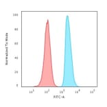 Flow Cytometry - Anti-APE1 Antibody [CPTC-APEX1-2] (A248871) - Antibodies.com
