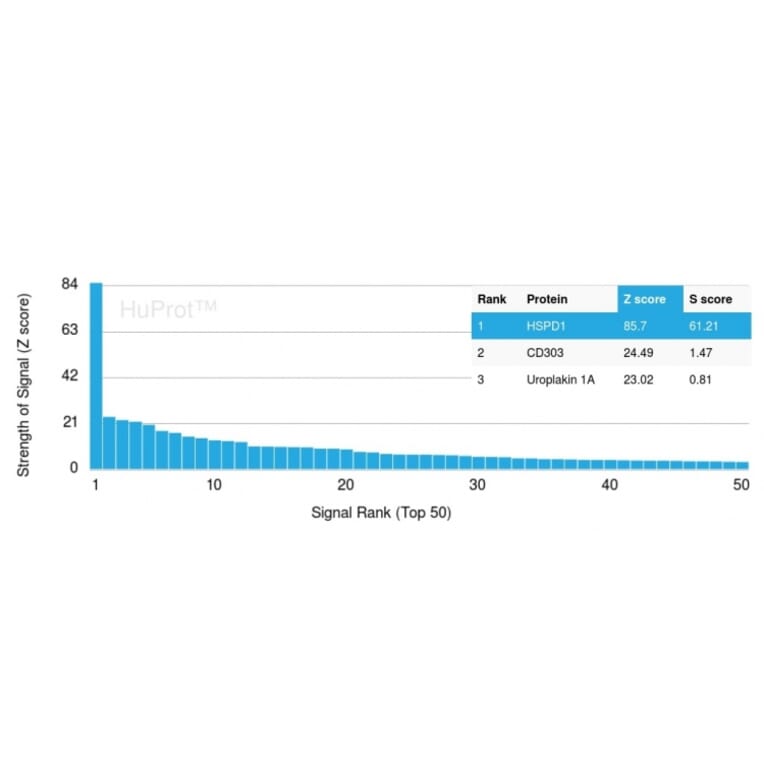 Protein Array - Anti-HSP60 Antibody [HSPD1/780] (A248886) - Antibodies.com
