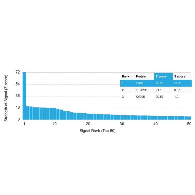 Protein Array - Anti-Kappa Light Chain Antibody [rKLC264] (A248972) - Antibodies.com