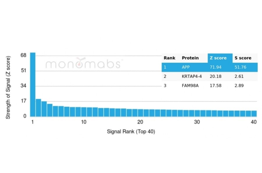 Protein Array - Anti-beta Amyloid Antibody [APP/3343] (A248987) - Antibodies.com