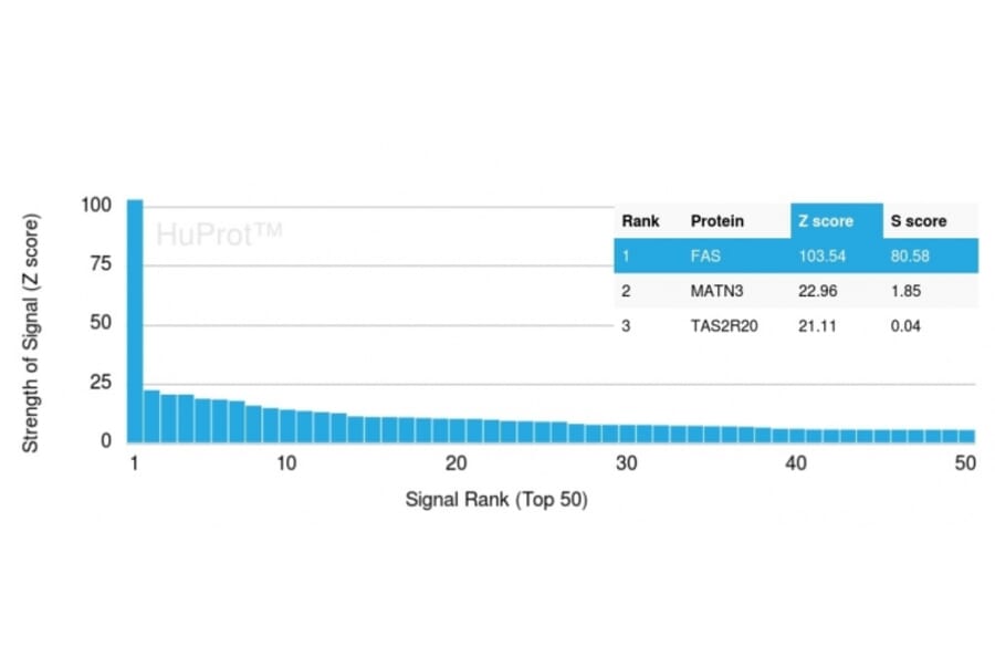 Protein Array - Anti-Fas Antibody [FAS/3588] (A249020) - Antibodies.com