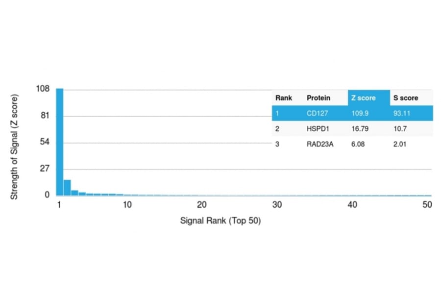 Protein Array - Anti-CD127 Antibody [IL7R/2751] (A249026) - Antibodies.com