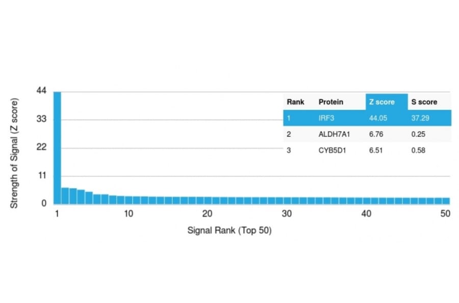 Protein Array - Anti-IRF3 Antibody [PCRP-IRF3-1E11] (A249050) - Antibodies.com