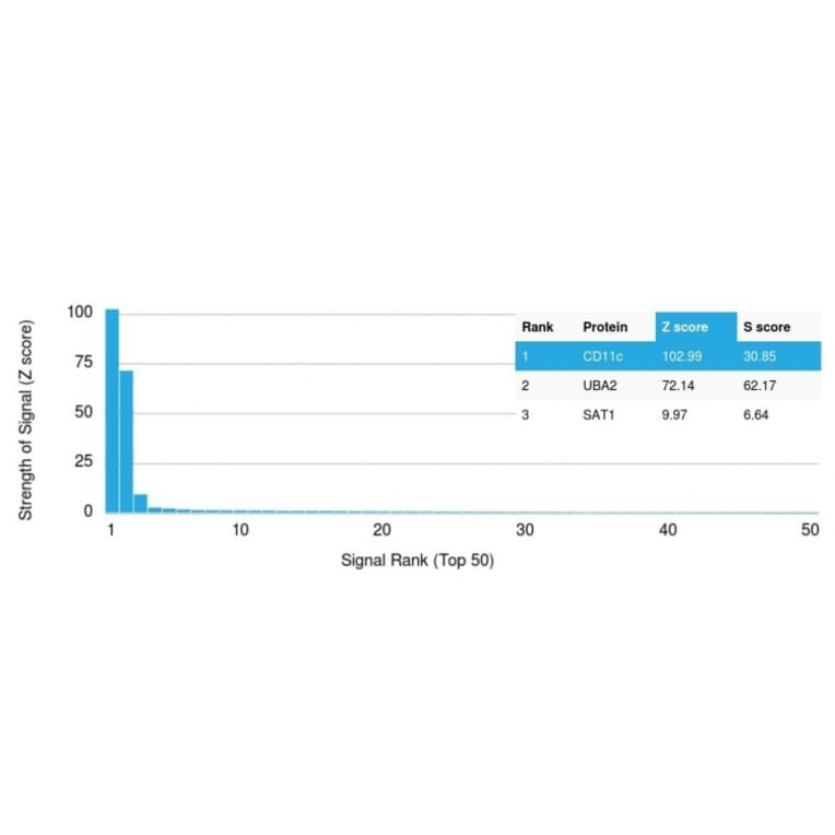 Protein Array - Anti-CD11c Antibody [ITGAX/1284] (A249073) - Antibodies.com