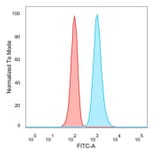 Flow Cytometry - Anti-JunB Antibody [PCRP-JUNB-3G11] (A249094) - Antibodies.com