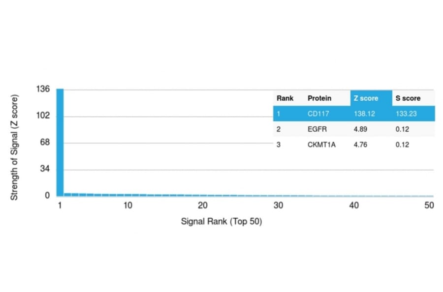 Protein Array - Anti-c-Kit Antibody [KIT/982] (A249112) - Antibodies.com