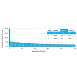 Protein Array - Anti-c-Kit Antibody [KIT/2669] (A249114) - Antibodies.com