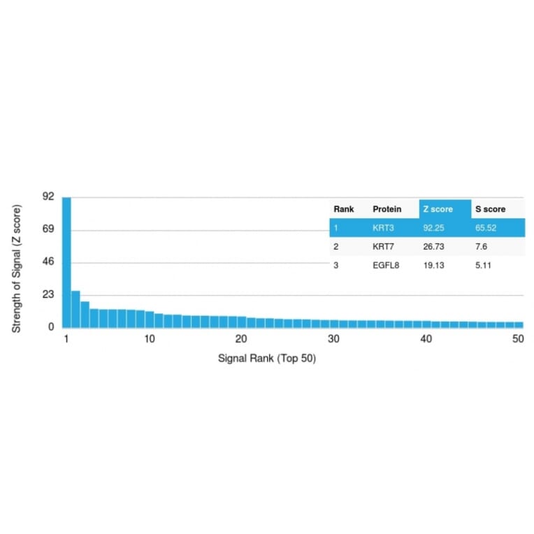 Protein Array - Anti-Cytokeratin 3 Antibody [KRT3/2130] (A249120) - Antibodies.com
