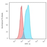 Flow Cytometry - Anti-Cytokeratin 6 Antibody [SPM269] (A249127) - Antibodies.com