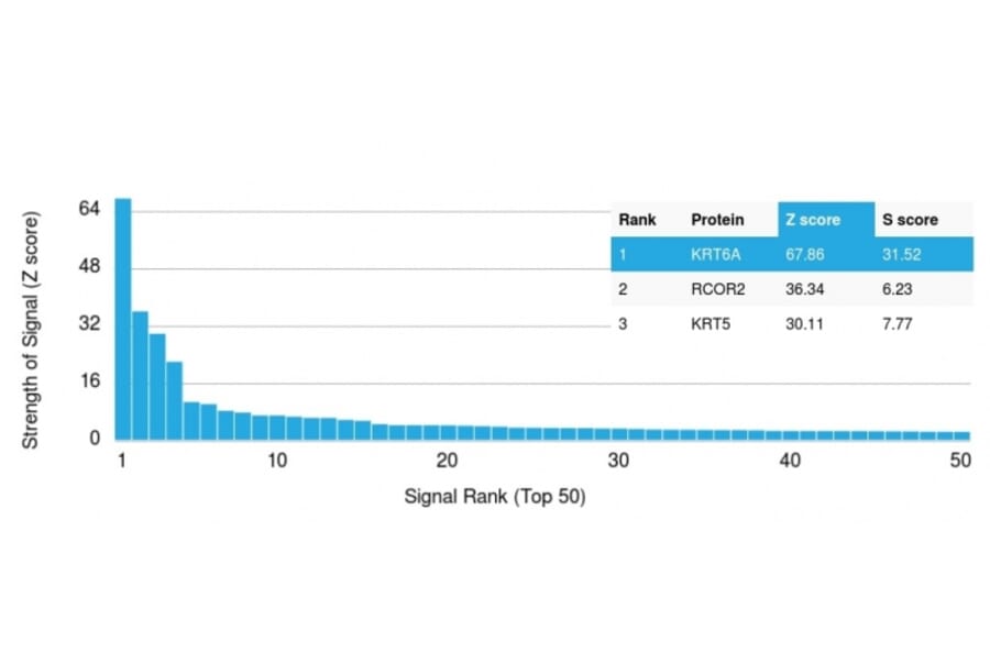 Protein Array - Anti-Cytokeratin 6A Antibody [KRT6A/2368] (A249129) - Antibodies.com