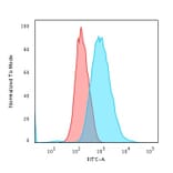 Flow Cytometry - Anti-Cytokeratin 7 Antibody [KRT7/903] (A249137) - Antibodies.com