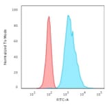 Flow Cytometry - Anti-Cytokeratin 8 Antibody [H1] (A249147) - Antibodies.com