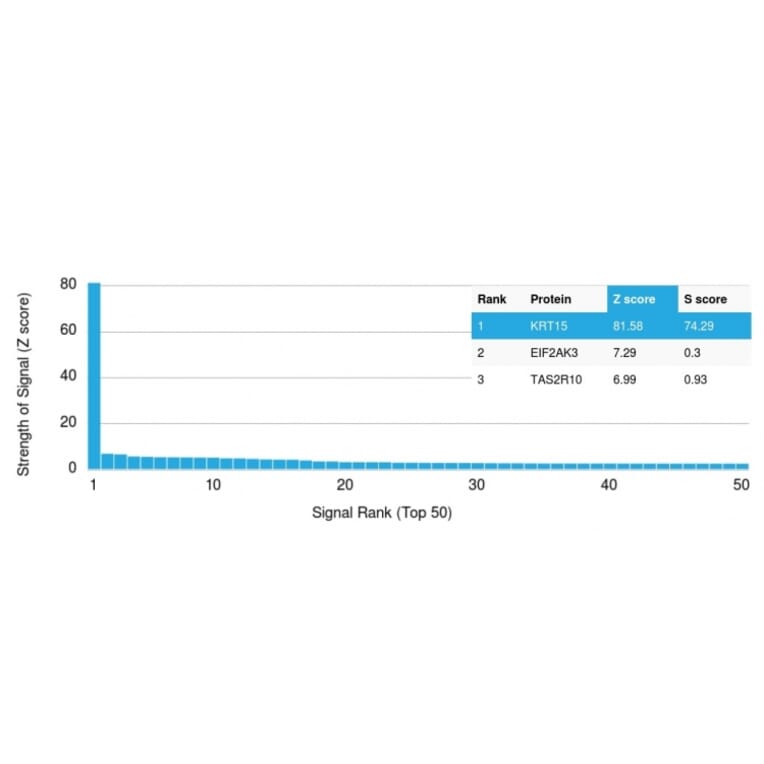 Protein Array - Anti-Cytokeratin 15 Antibody [KRT15/2554] (A249178) - Antibodies.com