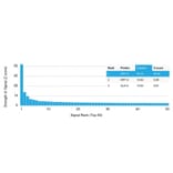 Protein Array - Anti-Cytokeratin 15 Antibody [KRT15/2958] (A249180) - Antibodies.com