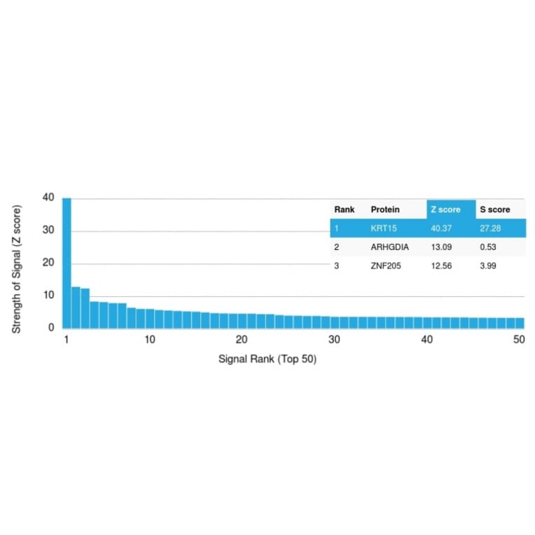 Protein Array - Anti-Cytokeratin 15 Antibody [KRT15/2959] (A249181) - Antibodies.com