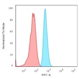 Flow Cytometry - Anti-Cytokeratin 15 Antibody [KRT15/2103R] (A249182) - Antibodies.com