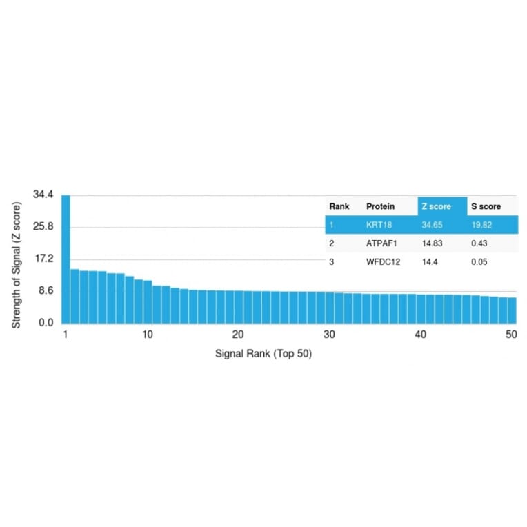 Protein Array - Anti-Cytokeratin 18 Antibody [KRT18/835] (A249199) - Antibodies.com