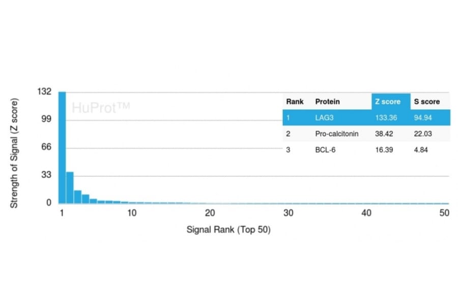 Protein Array - Anti-Lymphocyte Activation Gene 3 Antibody [LAG3/3261] (A249220) - Antibodies.com