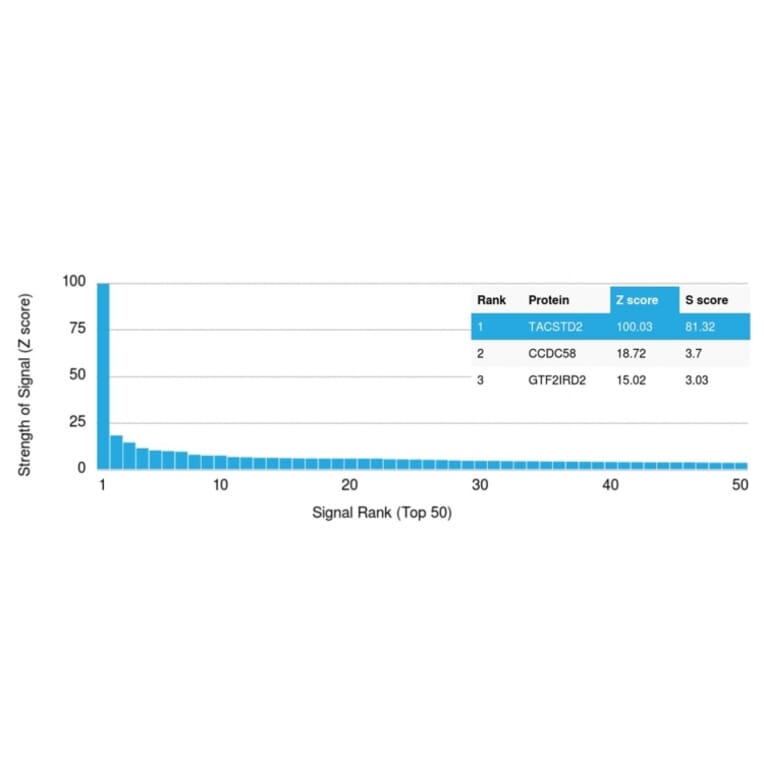 Protein Array - Anti-TROP2 Antibody [TACSTD2/2153] (A249240) - Antibodies.com