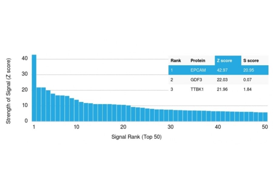 Protein Array - Anti-EpCAM Antibody [EGP40/1110] (A249242) - Antibodies.com