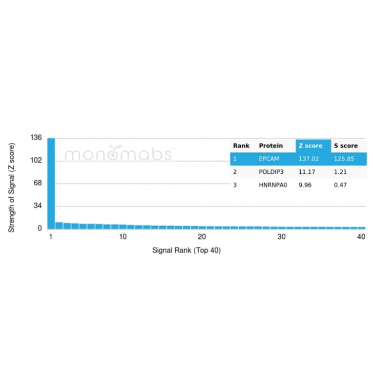 Protein Array - Anti-EpCAM Antibody [rEGP40/1110] (A249254) - Antibodies.com