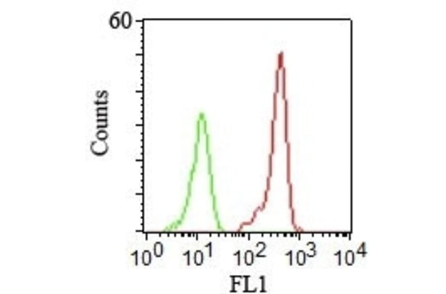 Flow Cytometry - Anti-CD46 Antibody [122.2] (A249307) - Antibodies.com