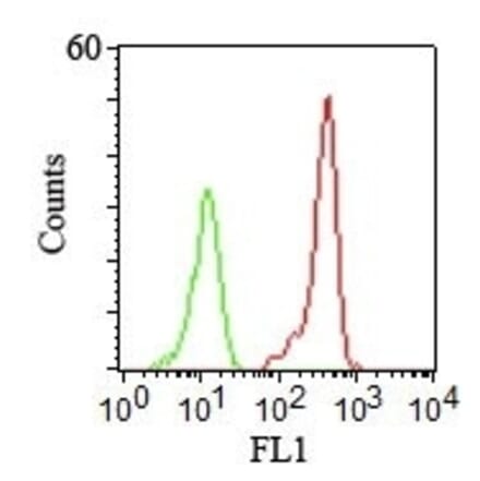 Flow Cytometry - Anti-CD46 Antibody [122.2] (A249307) - Antibodies.com