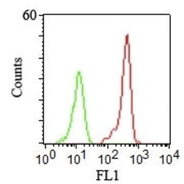 Flow Cytometry - Anti-CD46 Antibody [122.2] (A249307) - Antibodies.com