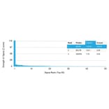 Protein Array - Anti-MDM2 Antibody [MDM2/2414] (A249312) - Antibodies.com