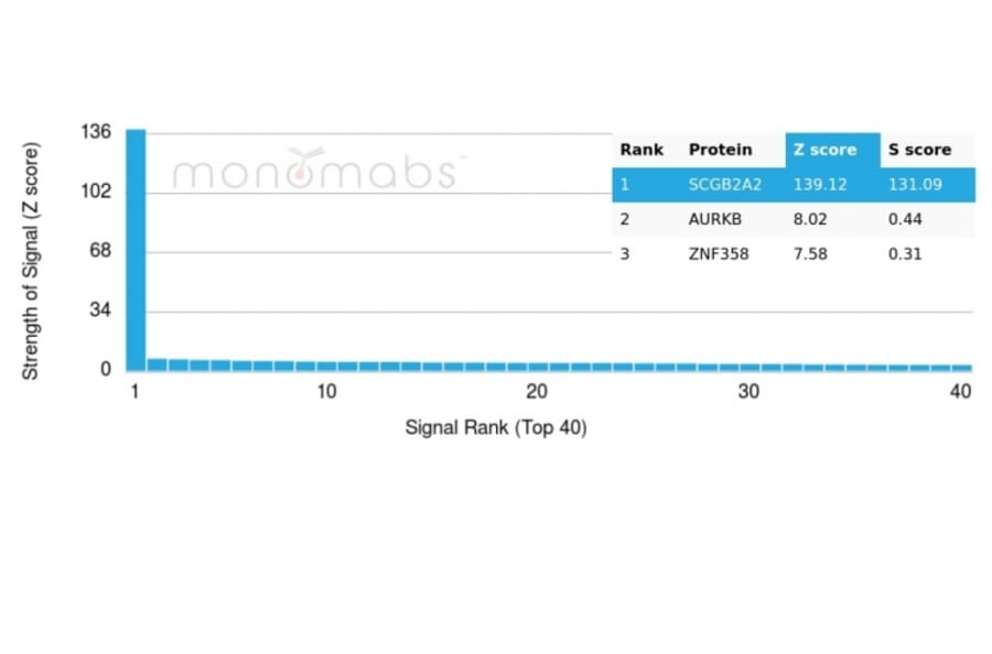 Protein Array - Anti-Mammaglobin A Antibody [MGB/4056] (A249321) - Antibodies.com