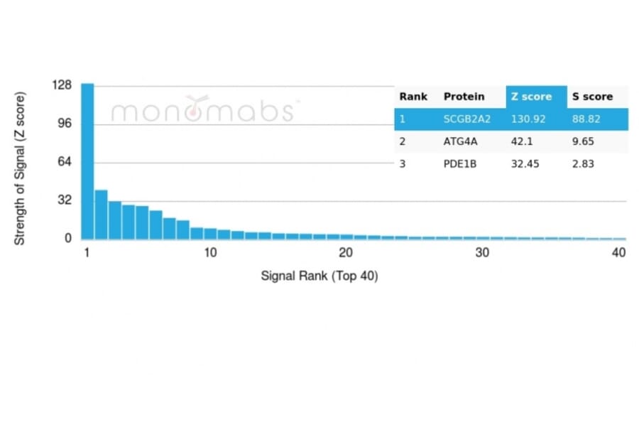 Protein Array - Anti-Mammaglobin A Antibody [MGB/4057R] (A249327) - Antibodies.com