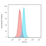Flow Cytometry - Anti-Moesin Antibody [MSN/492] (A249384) - Antibodies.com