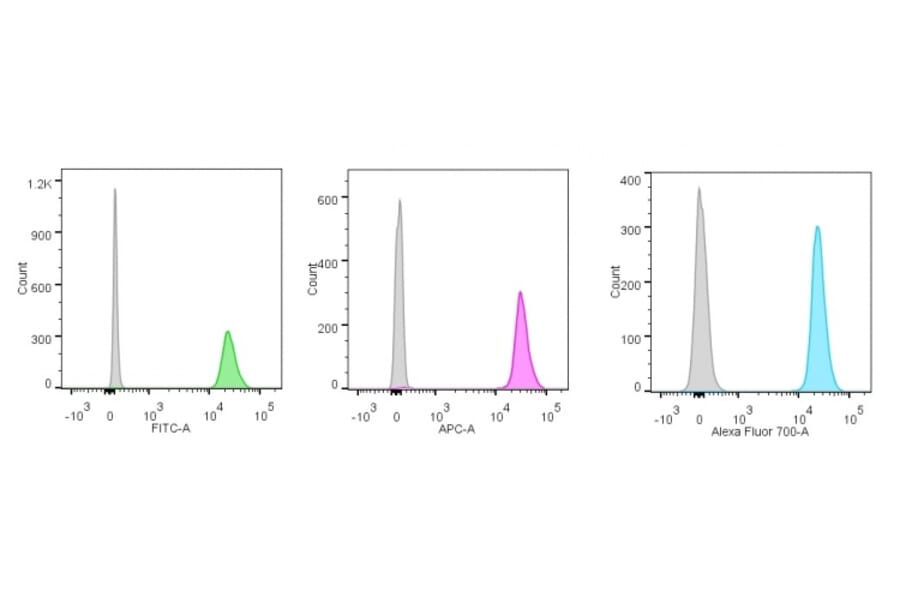 Flow Cytometry - Anti-Nucleolin Antibody [NCL/902] (A249483) - Antibodies.com