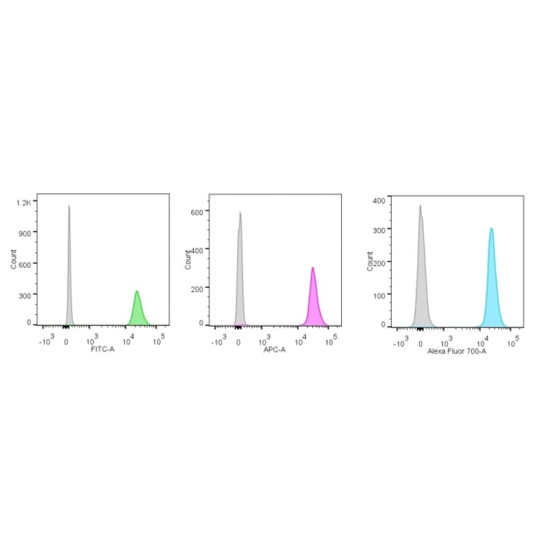 Flow Cytometry - Anti-Nucleolin Antibody [NCL/902] (A249483) - Antibodies.com