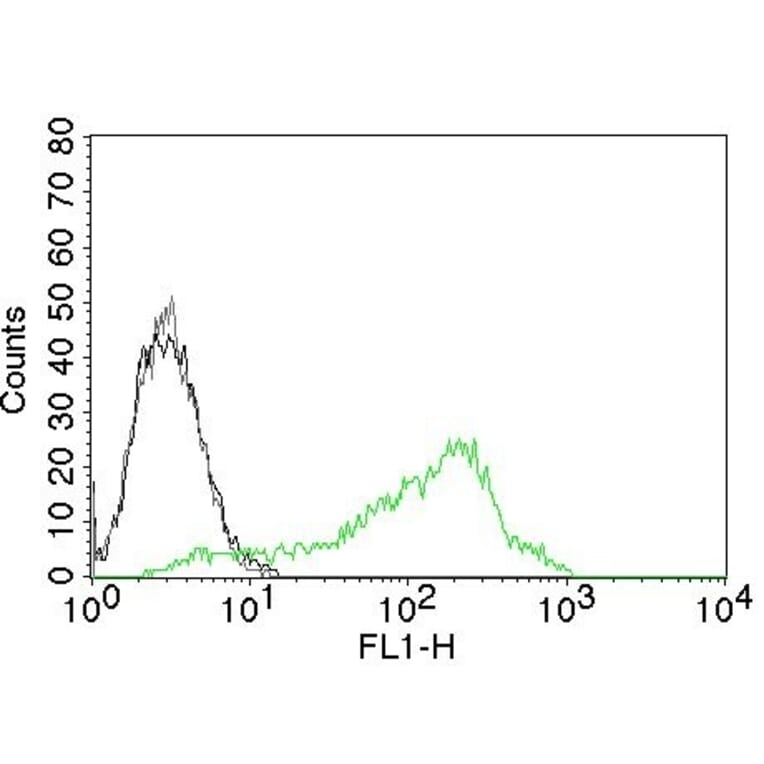 Flow Cytometry - Anti-Nucleolin Antibody [NCL/902] (A249482) - Antibodies.com