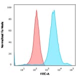 Flow Cytometry - Anti-Neurofilament Heavy Polypeptide Antibody [NF421] (A249486) - Antibodies.com