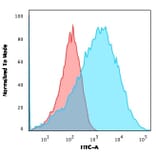 Flow Cytometry - Anti-NF-L Antibody [NFL/736] (A249495) - Antibodies.com