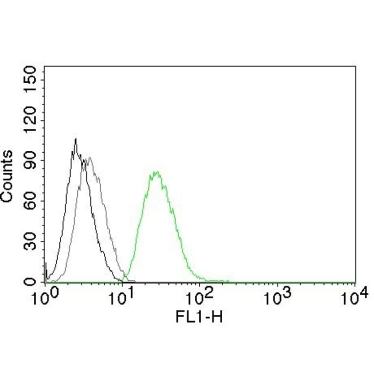 Flow Cytometry - Anti-Ornithine Decarboxylase Antibody [ODC1/485] (A249541) - Antibodies.com