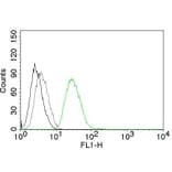 Flow Cytometry - Anti-Ornithine Decarboxylase Antibody [ODC1/485] (A249541) - Antibodies.com
