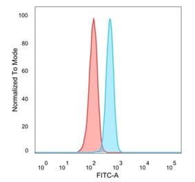 Flow Cytometry - Anti-ThPok Antibody [PCRP-ZBTB7B-1B6] (A249575) - Antibodies.com