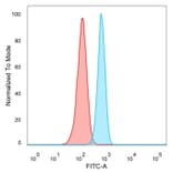 Flow Cytometry - Anti-ZBTB7B Antibody [PCRP-ZBTB7B-1F7] (A249576) - Antibodies.com