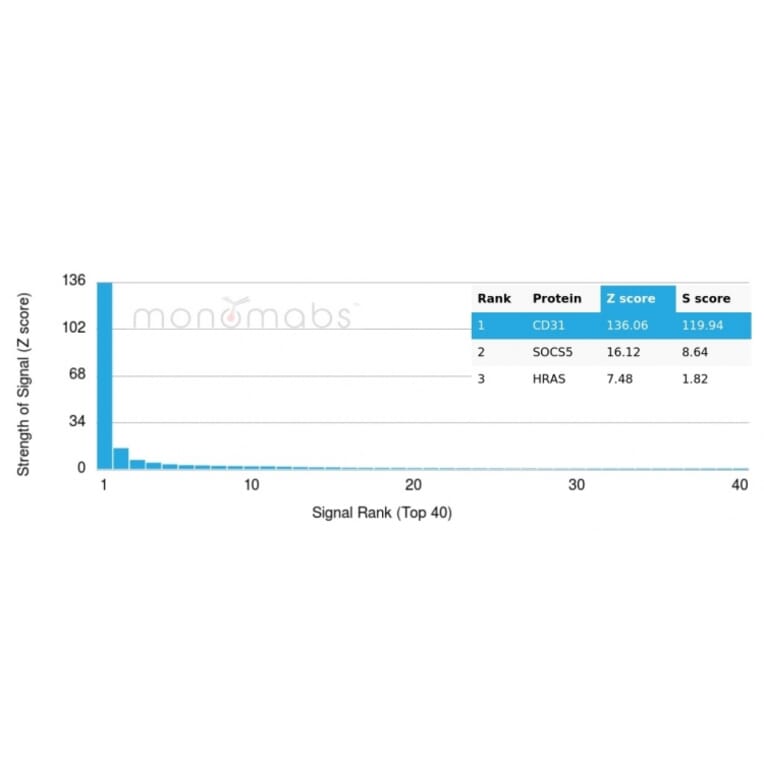 Protein Array - Anti-CD31 Antibody [PECAM1/3525] (A249593) - Antibodies.com