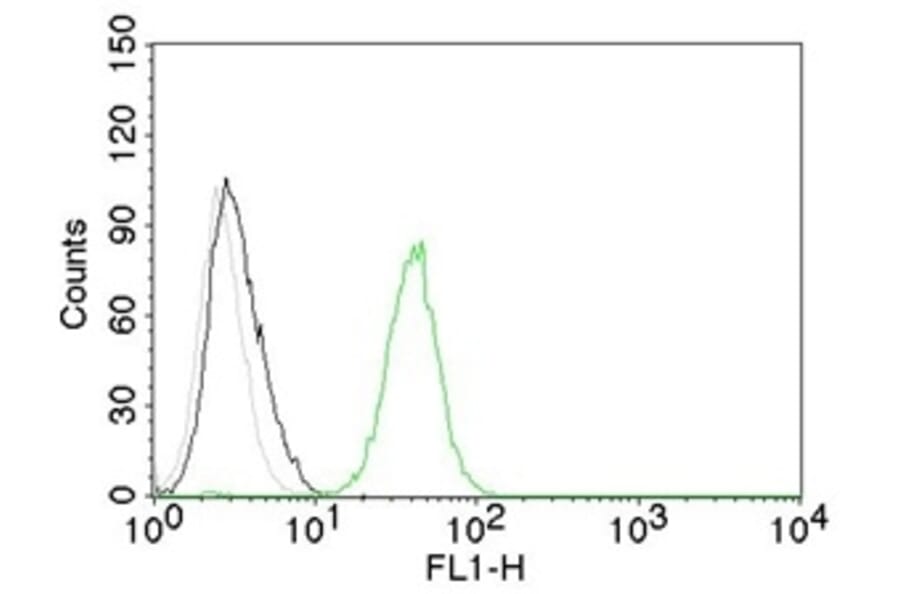 Flow Cytometry - Anti-CD31 Antibody [C31.7] (A249598) - Antibodies.com