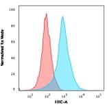 Flow Cytometry - Anti-CD31 Antibody [C31.7] (A249599) - Antibodies.com