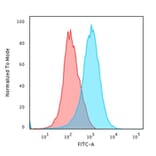 Flow Cytometry - Anti-CD31 Antibody [C31/1395R] (A249609) - Antibodies.com