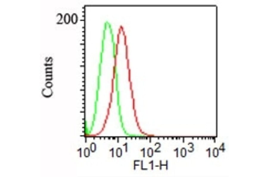 Flow Cytometry - Anti-Podocalyxin Antibody [3D3] (A249649) - Antibodies.com
